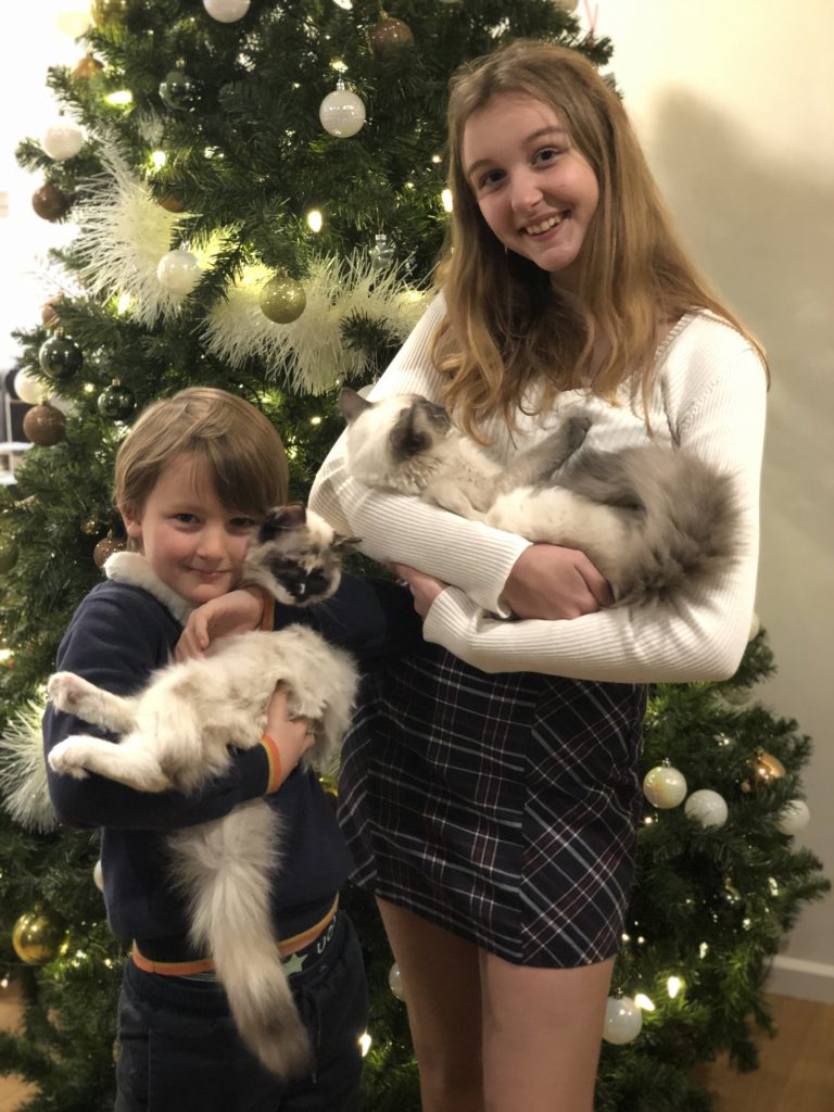 jongen en meisje met elk een ragdoll kat op de arm
